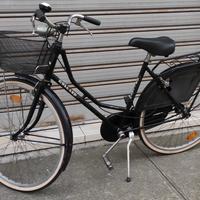 Bicicletta da donna del 26 holland