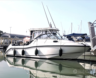 Boston whaler conquest 255