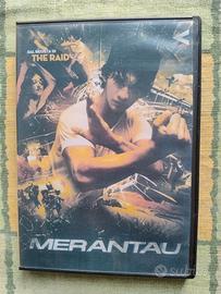 DVD Merantau 