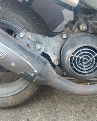 motore completo Malaguti F12 