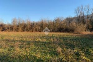 TER. AGRICOLO A CASALVIERI