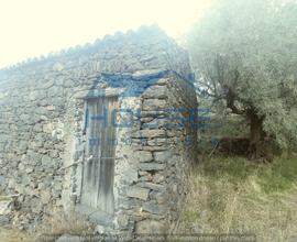 Santa maria di licodia - terreno agricolo