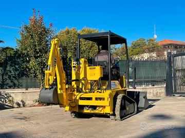 P95 MICRO TERNA 15 Q CINGOLATA SEMINUOVA