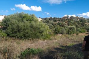 Budoni, terreno edificabile centralissimo