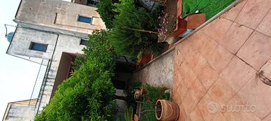 Due appartamenti a Valderice 
