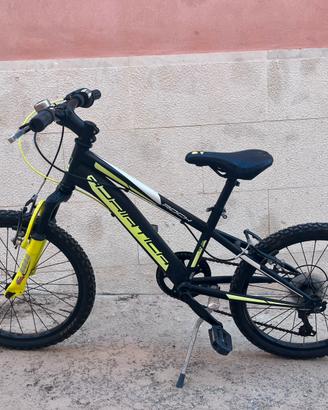 Bici MTB Adriatica Rock per ragazzo, 20 pollici