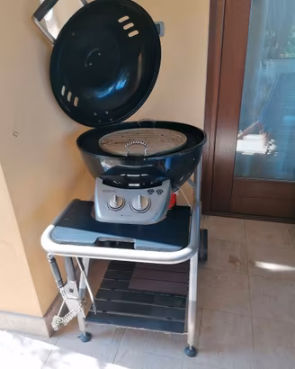 Barbecue a gas bbq