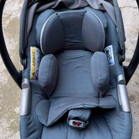 Ovetto Inglesia Darwin Infant 2025