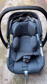 Ovetto Inglesia Darwin Infant 2025