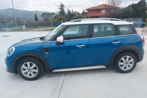 Mini Countryman D F60