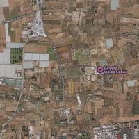 Terreno agricolo Valenzano