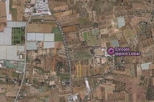 Terreno agricolo Valenzano