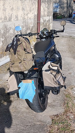 Moto guzzi v9 bobber