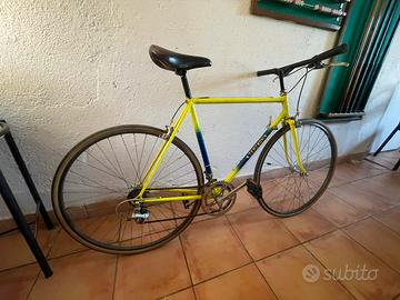 Palmerina vintage terzaghi