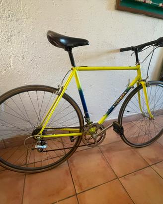 Palmerina vintage terzaghi