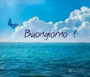 Grande struttura zona oreto