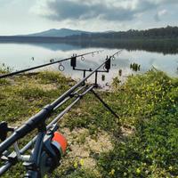 attrezzatura completa carpfishing 