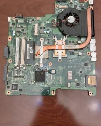 Scheda Madre Packard Bell