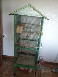 Voliera con inseparabili