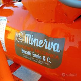 mungitrice minerva 