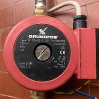 Pompa circolatore Grundfos