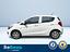 Immagine 5