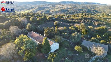 Stazzo da ristrutturare con terreno - Luogosanto