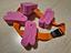Immagine 4
