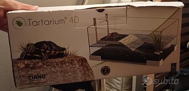tartarium 40