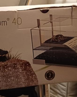 tartarium 40