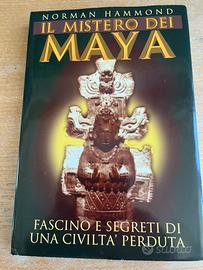 Libro : il misteroo dei Maya