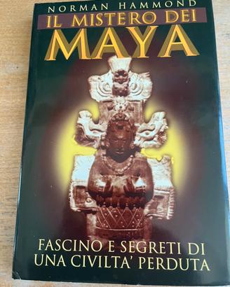 Libro : il misteroo dei Maya