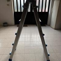 Scala telescopica multiuso