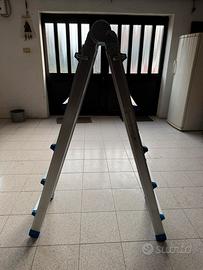 Scala telescopica multiuso