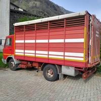Cassone trasporto animali vivi