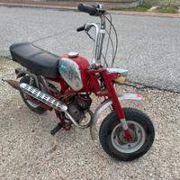 Benelli minibike