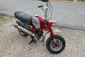 Benelli minibike