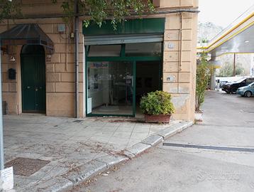 Piazza leoni