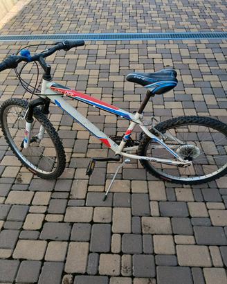 bici da ragazzo 