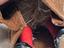 Immagine 6