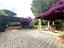 Immagine 26