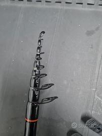 Canna da pesca carpe