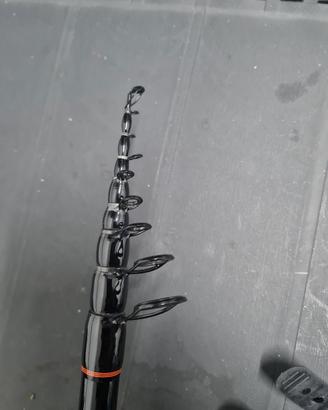 Canna da pesca carpe