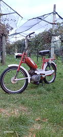 Garelli gulp flex 50cc