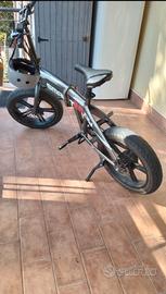 bicicletta elettrica 
