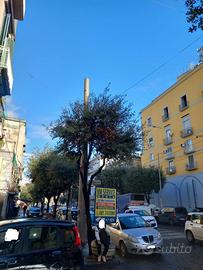 Appartamento Napoli [Cod. rif 3206350VRG]