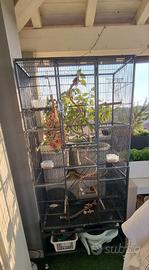 VOLIERA PER PAPPAGALLI