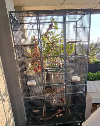 VOLIERA PER PAPPAGALLI