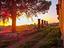 Immagine 17