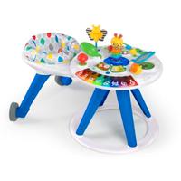 Girello Multi Funzione 